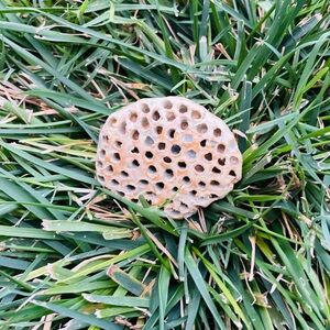 ♦️5/$15♦️Handmade Ceramic Wasp Nest | Decor Sculpture